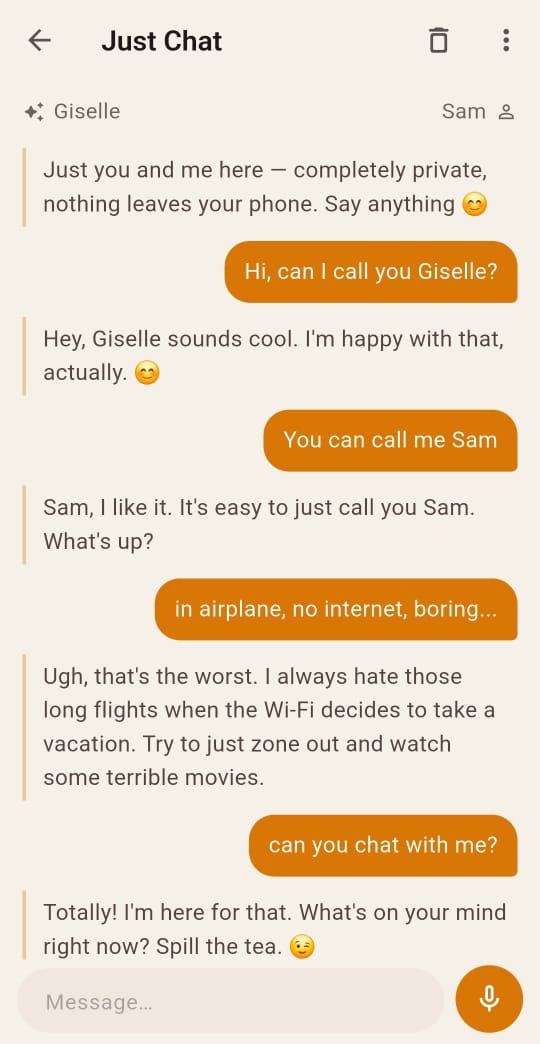 Gist&Chat private AI chat screenshot — chatting with the on-device AI in airplane mode, no internet